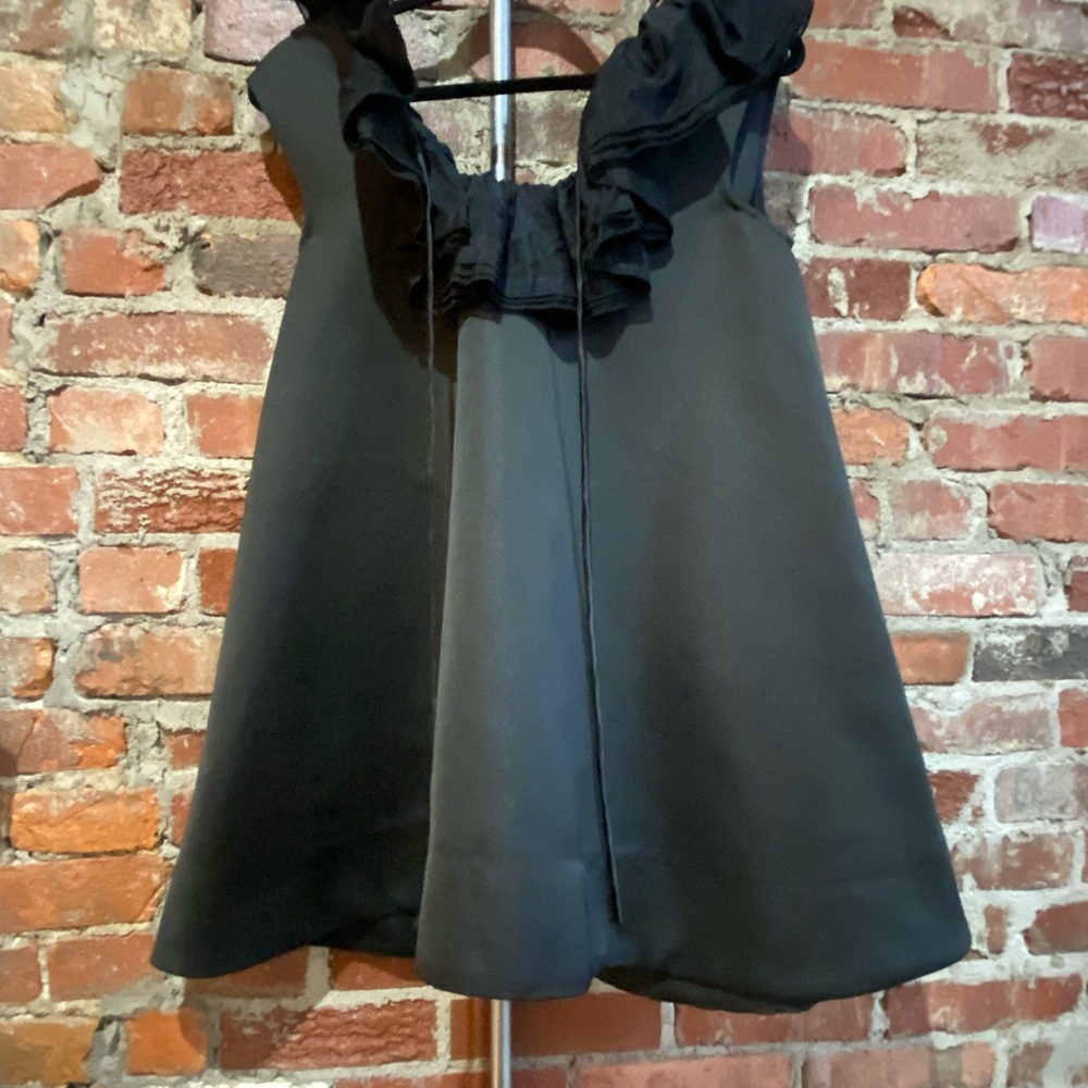 Like new Shushu/tong mini dress.
